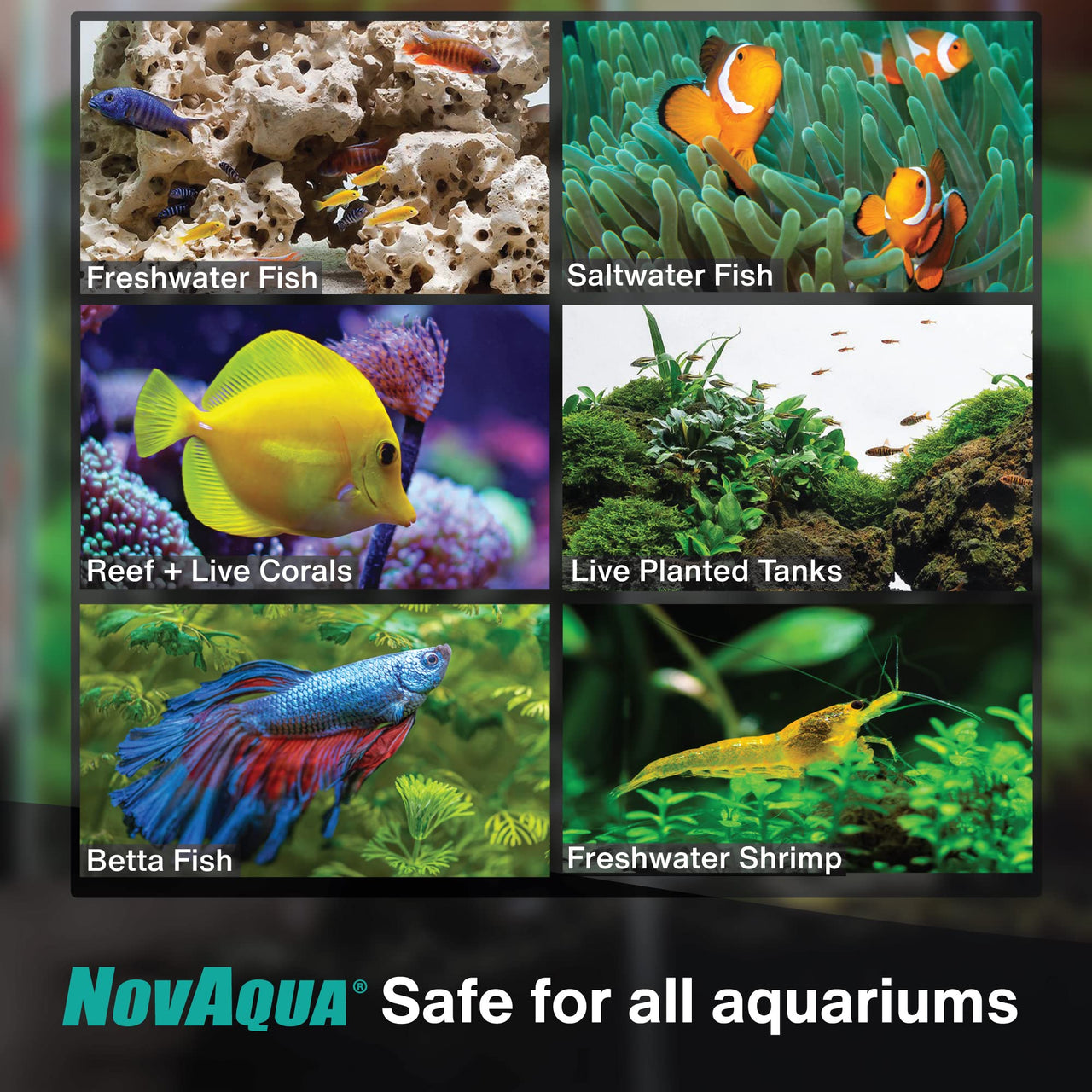 KORDON Novaqua Aquarium Water Conditioner for Freshwater & Saltwater – Instantly Detoxifies Chlorine, Chloramines, & Heavy Metals in Tap Water, Replaces Fish Slime Coat, Adds pH Buffers, 16-ounces