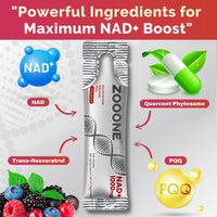 Thumbnail for zooone- NAD+ Supplement 30pcs, Premium Nicotinamide Riboside & Resveratrol, DNA Repair & Healthy Aging? Advanced NAD Supplement for Men & Women, Boosts Cellular Energy.