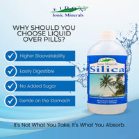 Thumbnail for Eidon Liquid Silica Mineral Concentrate - Silica Supplement for Hair, Skin, and Nails, Supplement Drops to Support Collagen Production & Hair Loss for Women & Men, Helps Manage Calcium - 18 oz