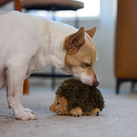 Thumbnail for Outward Hound Hedgehogz Stuffed Dog Toy – Soft Plush Hedgehog, Squeaks, 6