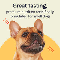 Thumbnail for Canidae Pure Petite Premium Wet Dog Food for Small Breeds, Morsels with Turkey & Green Beans, 3.5 oz, (Case of 12) Grain Free