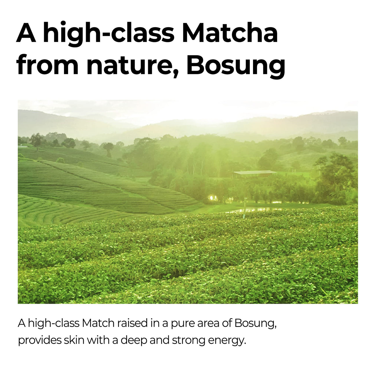 SOME BY MI Super Matcha Pore Clean Cleansing Gel - 3.38Oz, 100ml - Made from Matcha Extracts for Sensitive Skin - Mild Daily Face Wash for Pore Tightening, Sebum and Blackheads Care - Korean Skin Care