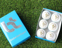 Thumbnail for Bt cricket ball expert White 156g Cricket Balls 4piece Balls Pack of 6 Balls Genuine Leather ,Excellent Quality