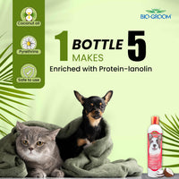 Thumbnail for Bio-Groom Flea & Tick Dog Shampoo - Flea and Tick Prevention for Dogs, Cat Flea Treatment, Cruelty-Free, Made in USA, Natural Tick Repellent, Protein-Lanolin Shampoo - 12 fl oz 1-Pack