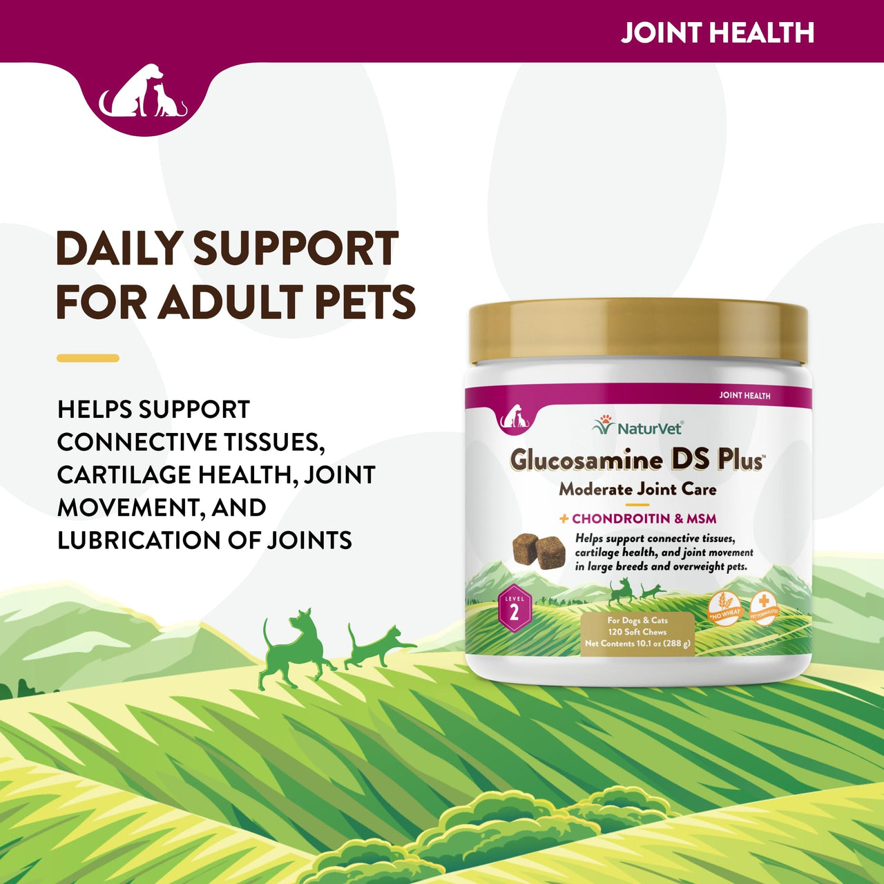 NaturVet – Glucosamine DS Plus - Level 2 Moderate Care – Supports Healthy Hip & Joint Function – Enhanced with Glucosamine, MSM & Chondroitin – for Dogs & Cats–120 Soft Chews