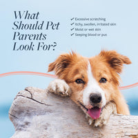 Thumbnail for Veterinary Formula Clinical Care Hot Spot & Itch Relief Cat & Dog Medicated Conditioner, 16 oz – Oatmeal Conditions Skin for a Lustrous Coat, Formulated to Help Alleviate Itchy Skin