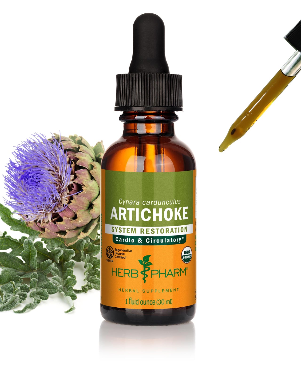 Herb Pharm Certified Organic Artichoke Liquid Extract for Cardiovascular and Circulatory Support - 1 Ounce
