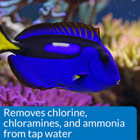 Thumbnail for API MARINE STRESS COAT Saltwater Aquarium Water Conditioner 16-Ounce Bottle