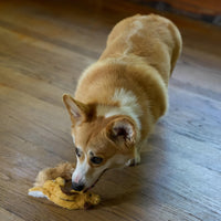Thumbnail for SPOT Skinneeez Flying Squirrel 14 Inch Stuffing-Free Plush Squeaky Dog Toy – Soft Tug-of-War Toy for Small and Medium Dogs – Mess-Free Interactive Chew Toy for Moderate Chewers