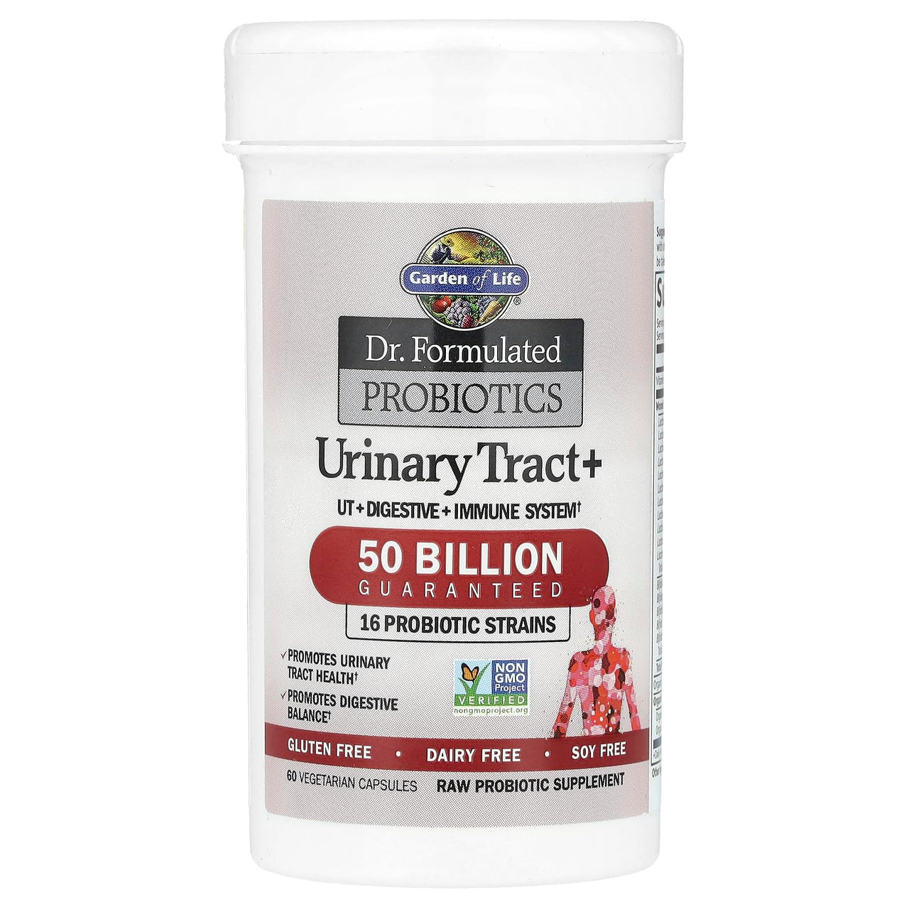 Garden of Life Dr. Formulated Probiotics Urinary Tract+ - 50 Billion CFU - Supports Digestive, Immune & Urinary Tract Health - Shelf Stable - 60 Vegetarian Capsules