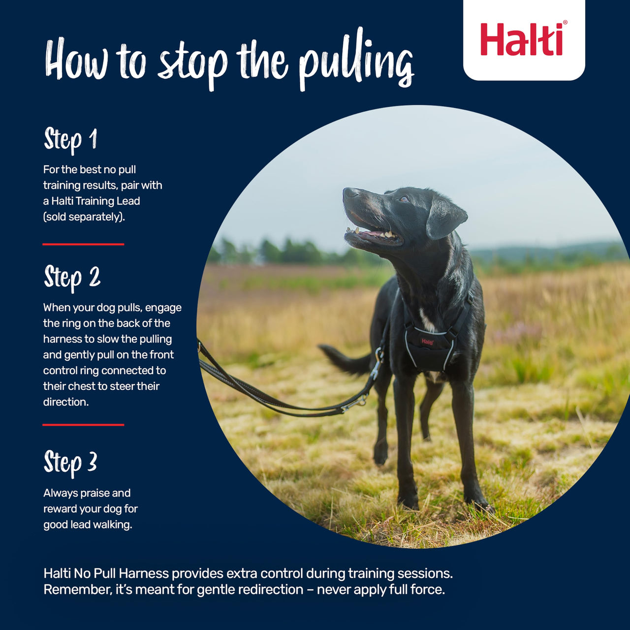 Halti No Pull Harness - Stop Your Dog Pulling on the Leash. Adjustable, Lightweight and Easy to Use. Reflective Dog Training Harness for Medium Dogs (Size M, Black)