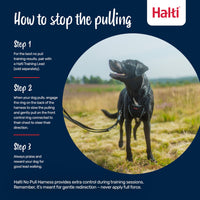 Thumbnail for Halti No Pull Harness - Stop Your Dog Pulling on the Leash. Adjustable, Lightweight and Easy to Use. Reflective Dog Training Harness for Medium Dogs (Size M, Black)