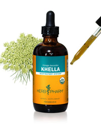 Thumbnail for Herb Pharm Khella Liquid Extract for Respiratory System Support - 4 Ounce
