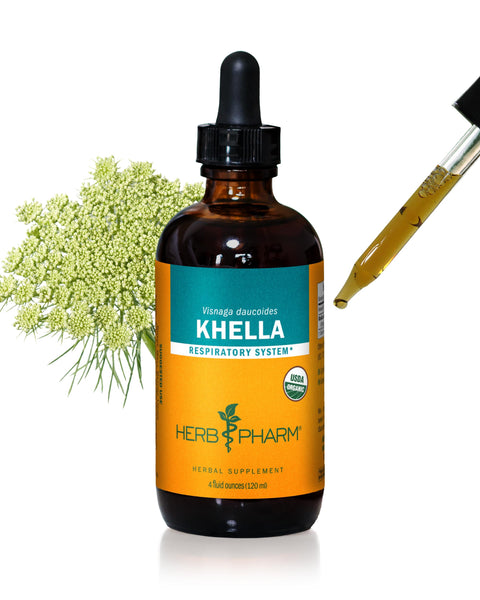 Herb Pharm Khella Liquid Extract for Respiratory System Support - 4 Ounce
