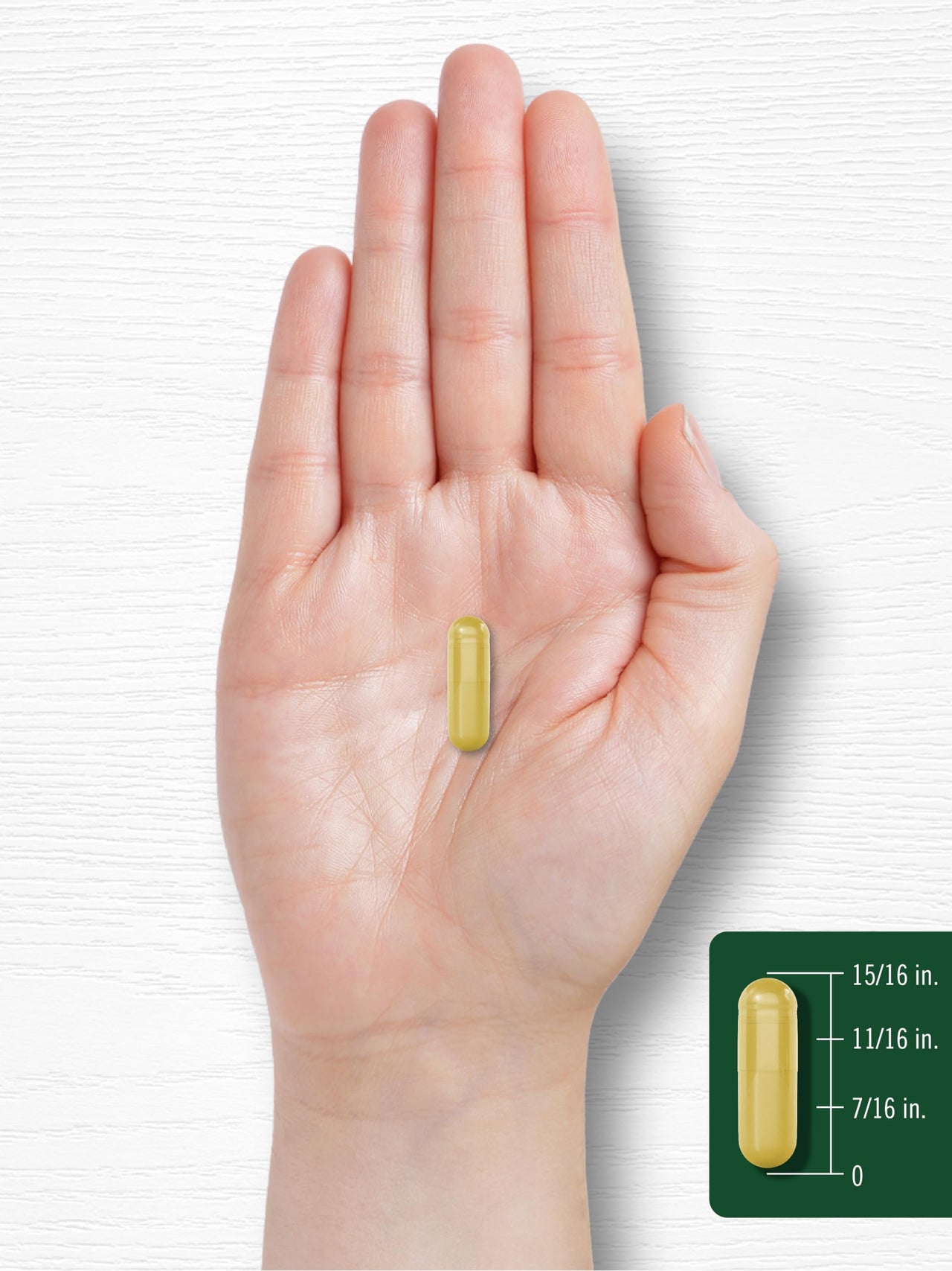 Carlyle Berberine with Ceylon Cinnamon | 60 Capsules | Vegetarian, Non-GMO, Gluten Free