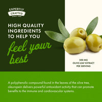 Thumbnail for Swanson Olive Leaf Extract Capsules with 20% Oleuropein - Provides Immune Support, Promotes Cardiovascular System Health, and Supports Healthy Blood Pressure - (120 Capsules, 500mg Each)
