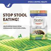 Thumbnail for NaturVet Scoopables Coprophagia for Dogs - No Poop Eating for Dogs - Stool Eating Deterrent Supplement with Probiotic & Digestive Enzymes - Hickory Smoked Bacon Flavored | 11oz Bag