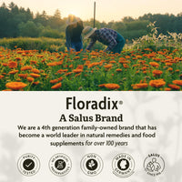 Thumbnail for Floradix Iron & Herbs - Liquid Herbal Supplement for Energy Support - Iron Supplement with Vitamin C & Vitamin B Complex - for Men & Women - 8.5 fl oz