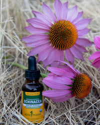 Thumbnail for Herb Pharm Certified Organic Echinacea Root Liquid Extract for Immune System Support, Alcohol-Free Glycerite, 4 Ounce