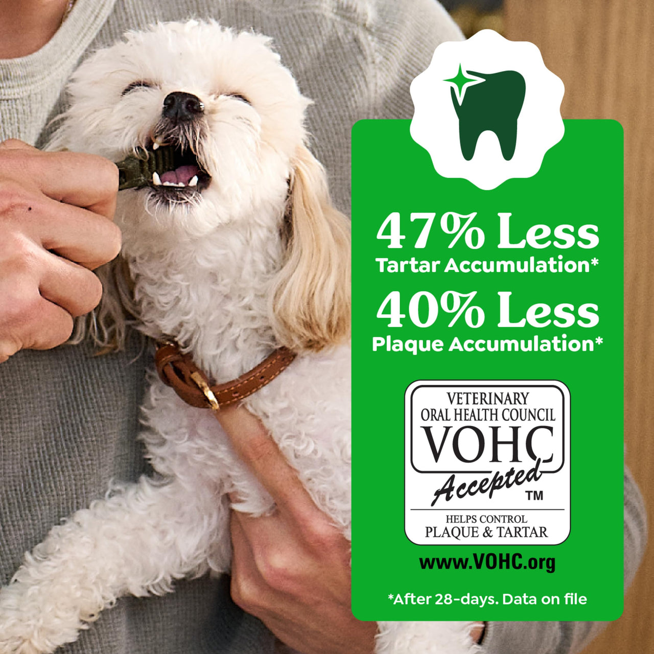 Greenies Veterinarian-Recommended Adult Natural Dental Dog Treats Petite Size, Dog Dental Chews, Original Flavor, 12 oz. Pack, 20 Count