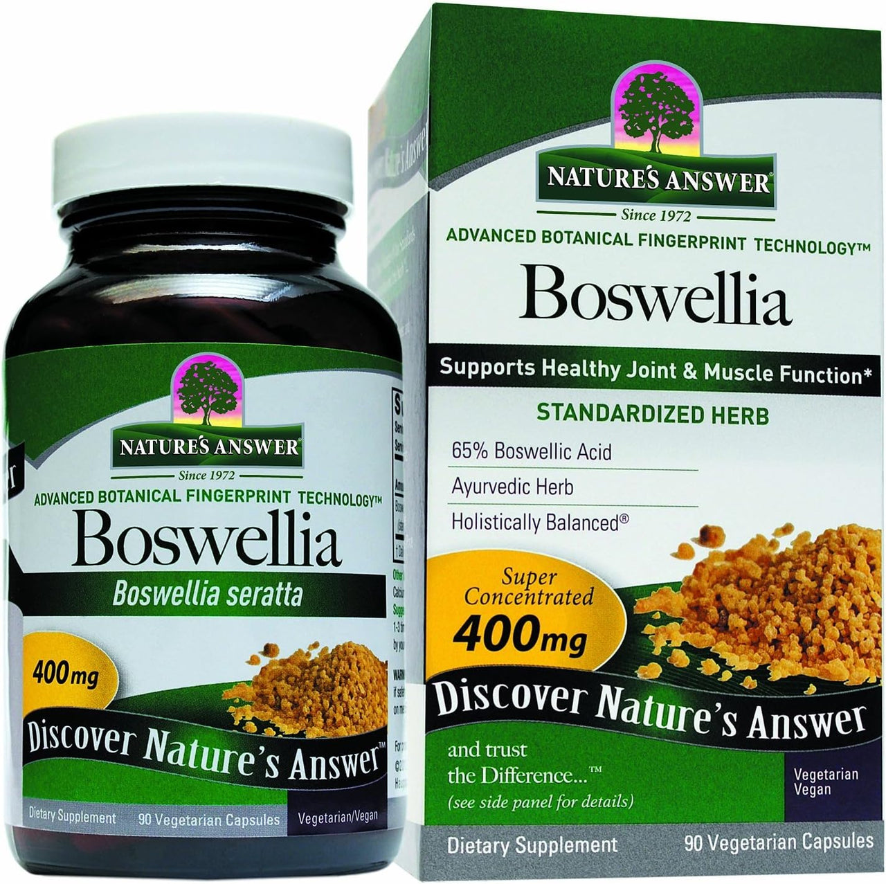 Nature's Answer Boswellia Standardize Extract 90 Vcaps