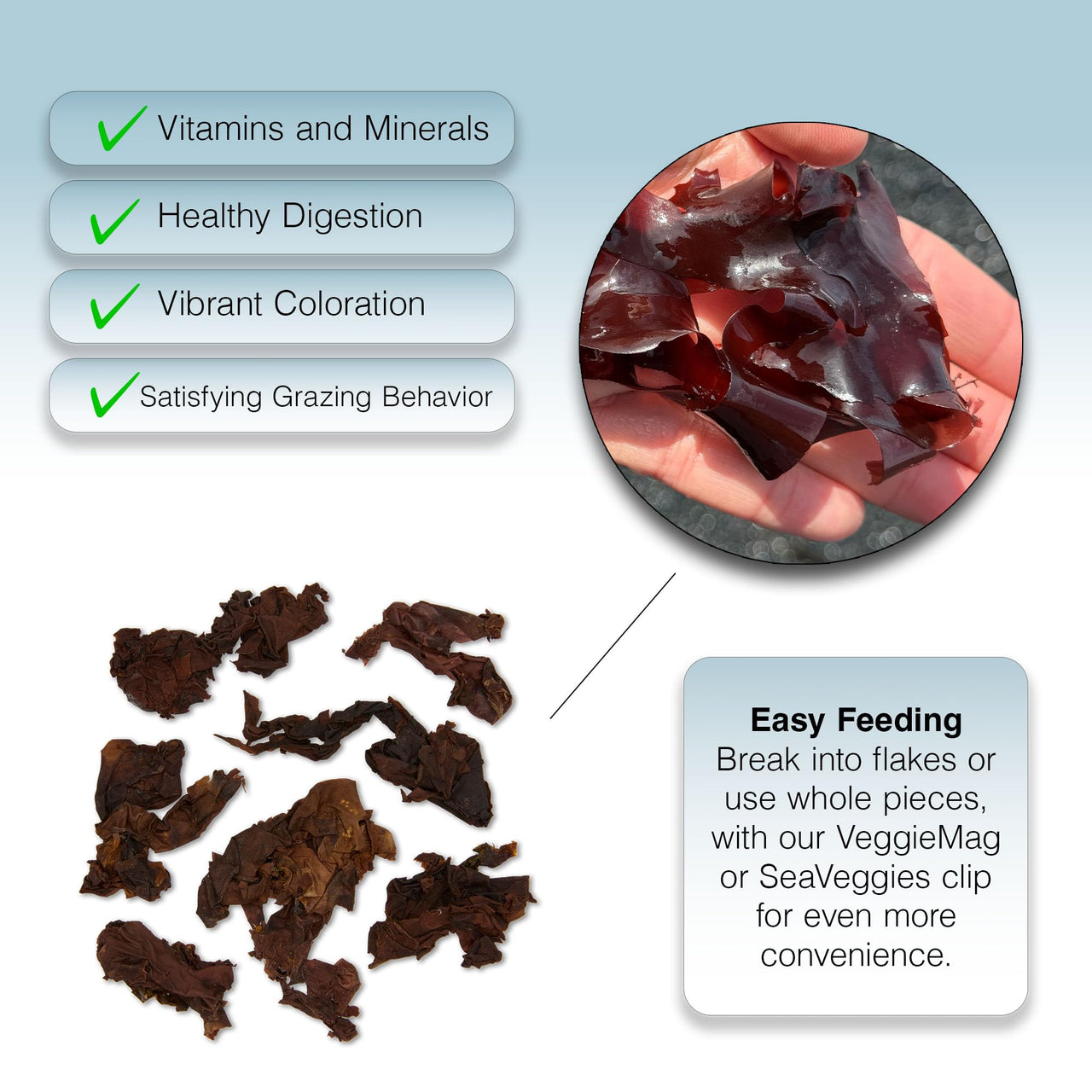 Two Little Fishies ATLSVRS4 Sea Veg-Red Seaweed, 1-Ounce Pouch