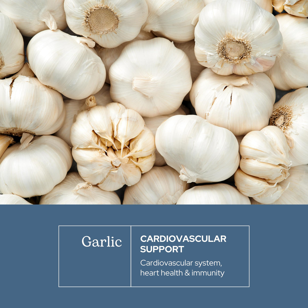 Eclectic Herb - Garlic Capsules | Cardiovascular Heart Health and Immune Support | Dietary Supplement | Vegan, Natural, Non-GMO, Gluten Free (120 CT | 550 mg)