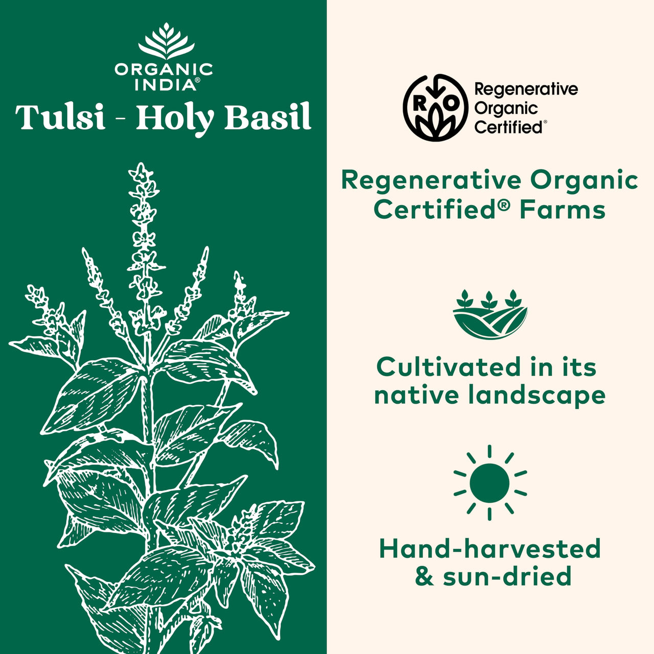 ORGANIC INDIA Tulsi Herbal Supplement - Holy Basil, Immune Support, Adaptogen, Supports Healthy Stress Response, Vegan, Gluten-Free, Kosher, USDA Certified Organic, Non-GMO - 90 Capsules