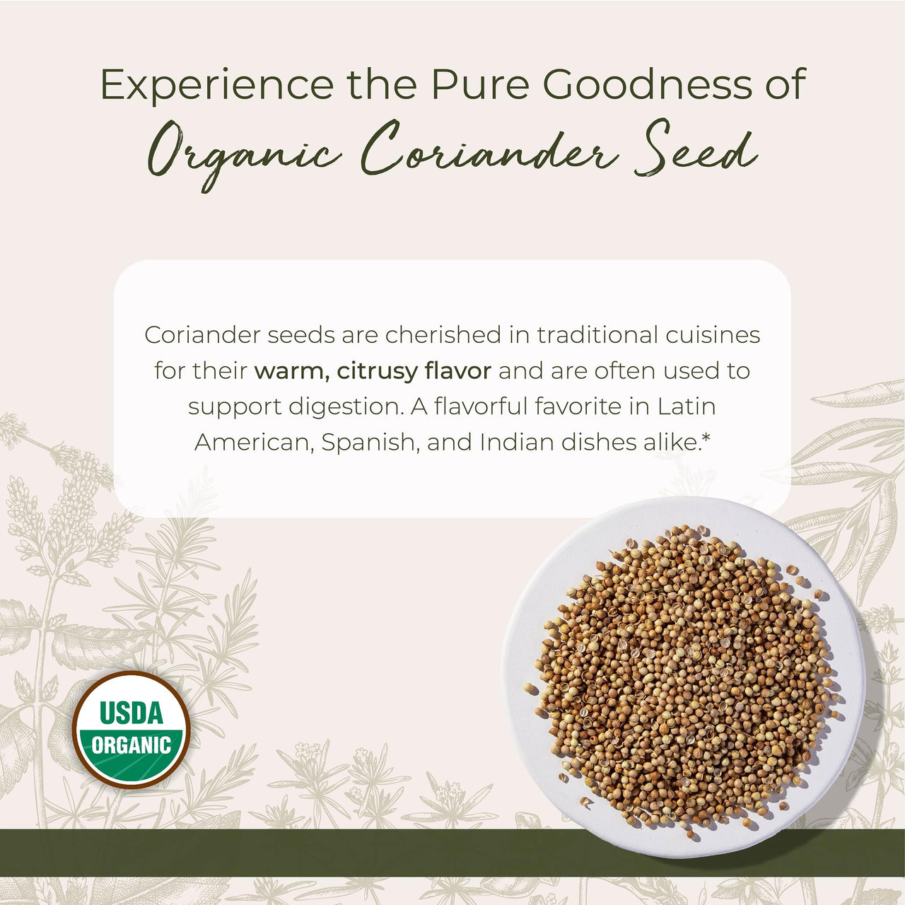 Starwest Botanicals Organic Coriander Seeds Whole - Seasoning Spice for Cooking, Pickling, Curry, & More, Dried Whole Seeds from the Cilantro Plant, Certified Kosher, Non-GMO - Bulk 1 lb Bag