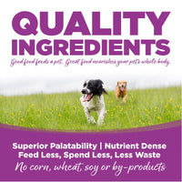 Thumbnail for Large Breed Puppy Chicken & Rice Dry Dog Food Size: 1.5-Lb Bag
