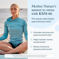 Thumbnail for Youtheory Ashwagandha - with Organic KSM-66 Ashwagandha - Herbal Blend to Support Stress Relief & Energy Levels* - Helps Support Mood* - 60 Vegetarian Capsules (30-Day Supply)