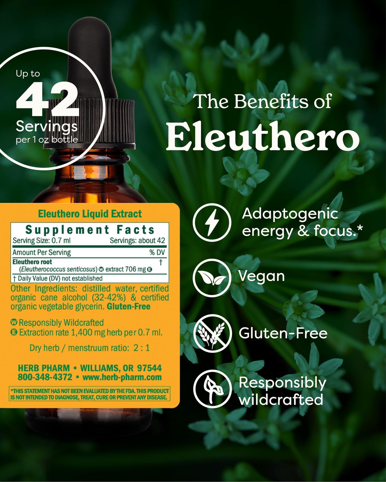 Herb Pharm Eleuthero Root Liquid Extract for Energy and Stamina, Cane Alcohol, 1 Ounce