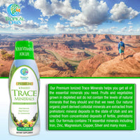 Thumbnail for Tropical Oasis - Premium Ionized Plant Based Trace Minerals Liquid Formula- 74 essential minerals in liquid form for up to 96% Absorption - 16 oz, 32 servings