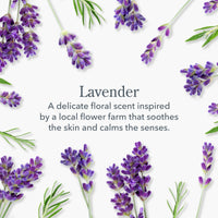 Thumbnail for Beekman 1802 Lip Balm, Lavender - Scented - 0.15 oz - With Goat Milk, Vitamin E & Beeswax for Dry, Cracked Lips - Good for Sensitive Skin - Cruelty Free