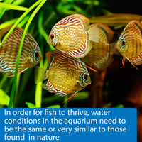 Thumbnail for API 5-IN-1 TEST STRIPS Freshwater and Saltwater Aquarium Test Strips 4-Count Box