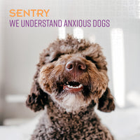Thumbnail for Sentry PET Care Sentry Calming Spray for Dogs, Uses Pheromones to Reduce Stress, Easy Spray Application, Helps Dogs with Separation, Travel, Loud Noises, and Anxiety, Packaging May Vary