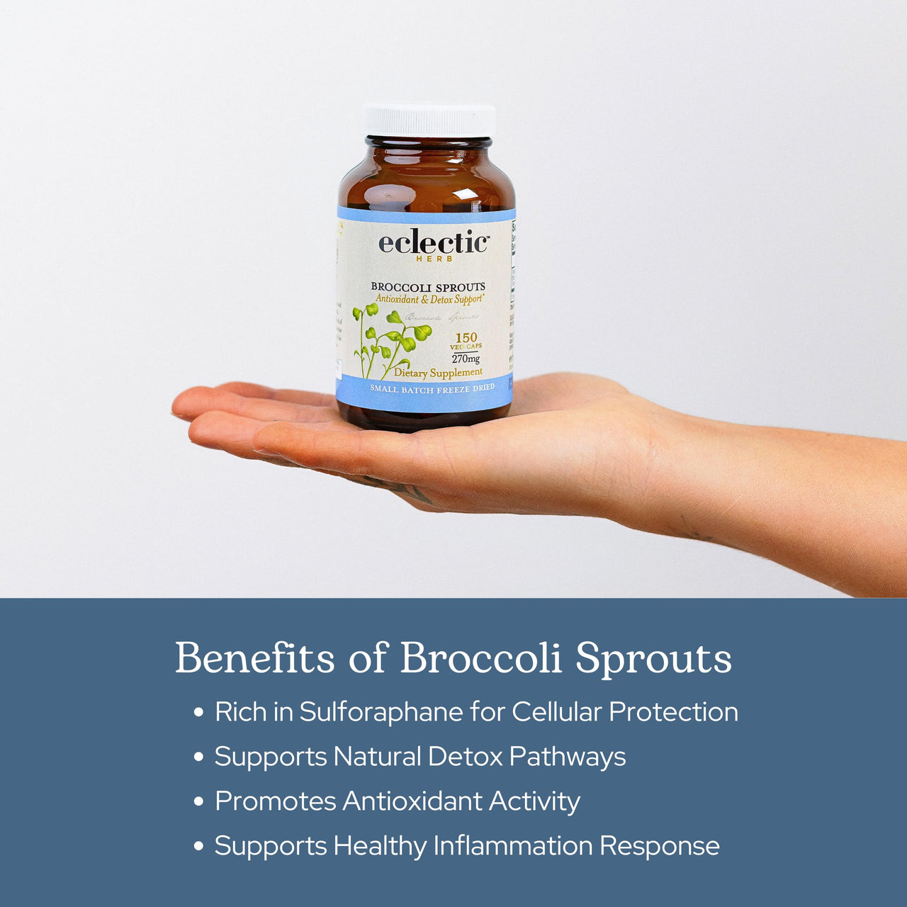 Eclectic Herb - Organic Broccoli Sprouts Capsules | Vitamins + Minerals | Immune, Antioxidants & Detox Support | Superfood | Non-GMO, Gluten Free, Vegan (150 CT | 270 mg)