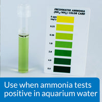 Thumbnail for API AMMO-LOCK Freshwater and Saltwater Aquarium Ammonia Detoxifier 4-Ounce Bottle, AMMO LOCK, 4 OZ
