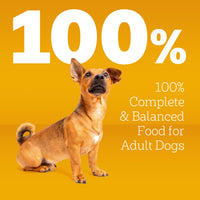 Thumbnail for Pedigree Complete Nutrition Adult Small Dog Dry Dog Food, Roasted Chicken, Rice & Vegetable Flavor, 3.5 lb. Bag