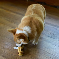 Thumbnail for SPOT Skinneeez Flying Squirrel 14 Inch Stuffing-Free Plush Squeaky Dog Toy – Soft Tug-of-War Toy for Small and Medium Dogs – Mess-Free Interactive Chew Toy for Moderate Chewers