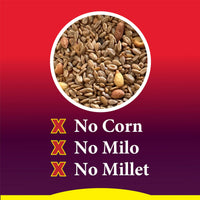 Thumbnail for Wild Delight Advanced Formula Squirrel Away Zero Waste Wild Bird Food 5lbs