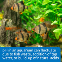 Thumbnail for API pH TEST & ADJUSTER KIT 250-Test Freshwater Aquarium Water pH Test and Adjuster Kit