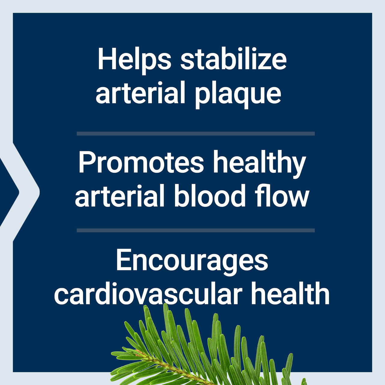 Life Extension Arterial Protect - Blood Pressure Supplement for Heart Health - with gotu kola and Pycnogenol Dried French Maritime Pine bark extracts - Gluten-Free, Non-GMO, Vegetarian - 30 Capsules