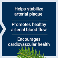 Thumbnail for Life Extension Arterial Protect - Blood Pressure Supplement for Heart Health - with gotu kola and Pycnogenol Dried French Maritime Pine bark extracts - Gluten-Free, Non-GMO, Vegetarian - 30 Capsules
