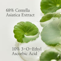 Thumbnail for Beauty of Joseon Light On Serum Vitamin C Centella Dark Spot Fine Lines Pigmentation Correcting Serum, Hydrating Moisturizer, Korean Skin Care for Men and Women, 30ml, 1 fl.oz