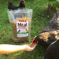Thumbnail for TradeKing 2 lb Dried Mealworms - High Protein Treat for Wild Birds, Chicken, Fish & Reptiles