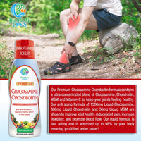 Thumbnail for Tropical Oasis–Premium Liquid Glucosamine Chondroitin & MSM- Liquid Joint Support Formula 1500mg Glucosamine, 800mg Chondroitin, & 500mg MSM - 16 Fl Oz