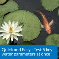 Thumbnail for API POND 5 IN 1 POND TEST STRIPS Pond Water Test Strips 25-Count