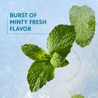 Thumbnail for Covergirl Clean Fresh Yummy Plumper Lip Gloss, 800 Minter Is Coming, Plumper Gloss, Shiny, Vegan Formula, Easy to Apply, Minty Flavor, 0.33oz