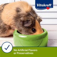 Thumbnail for Vitakraft Slims Carrot Small Animal Treats – Light, Healthy Food Bites - Crispy Carrot Treats for Rabbits, Guinea Pigs, Hamsters & Chinchillas (10oz)